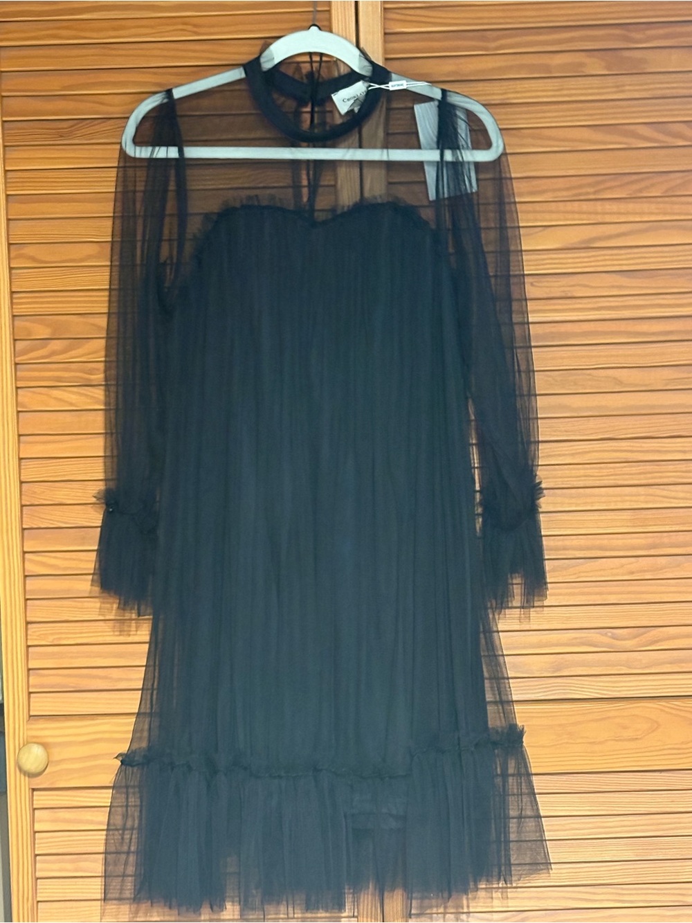 Black Tulle Dress with Sheer Sleeves